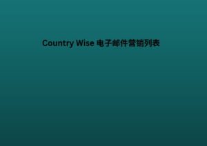 Country Wise 电子邮件营销列表